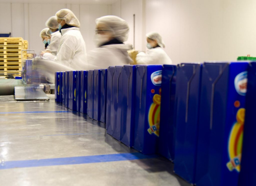 Molinero Logística Picking